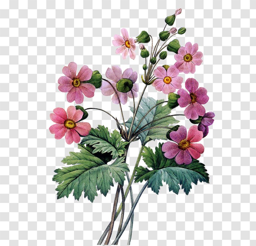 Abziehtattoo Flower Bouquet Floral Design - Geraniales Transparent PNG