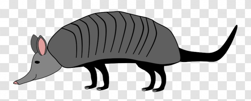Armadillo Whiskers Snout Wildlife Clip Art - Rat - Rodent Transparent PNG
