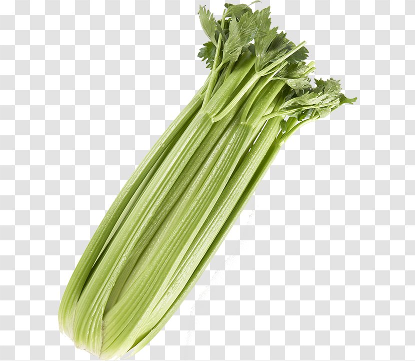 Celery Leaf Vegetable Vegetarian Cuisine - Romaine Lettuce Transparent PNG