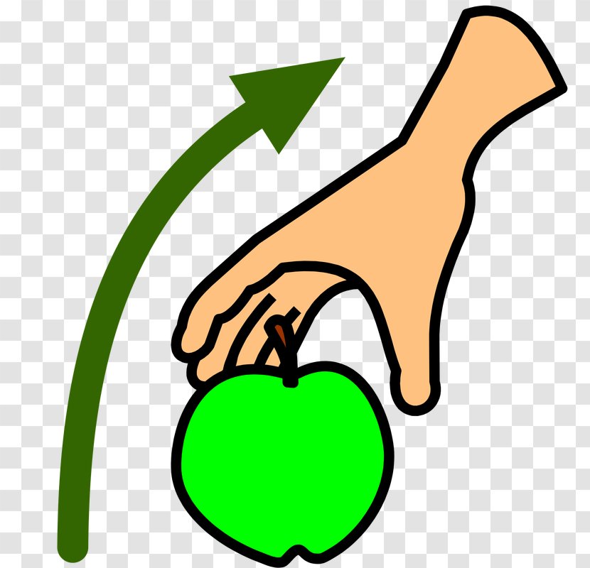 Symbol Leaf Clip Art - Green Transparent PNG