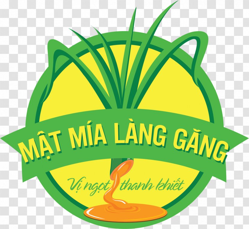 Hanoi Sugarcane Juice Product Business - Text - Green Transparent PNG