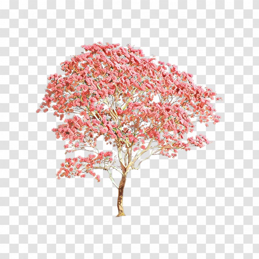 Cherry Blossom Tree Drawing - Pink - Plant Stem Cut Flowers Transparent PNG