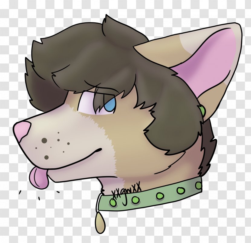 Whiskers Dog Cat Pig Horse - Snout Transparent PNG