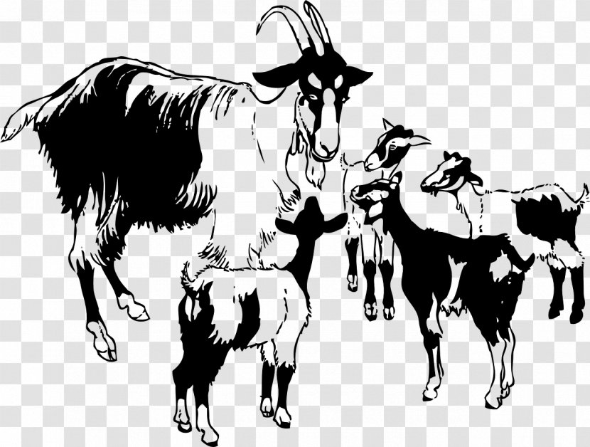 Black Bengal Goat Boer Sheep Poitou Clip Art - Bull Transparent PNG
