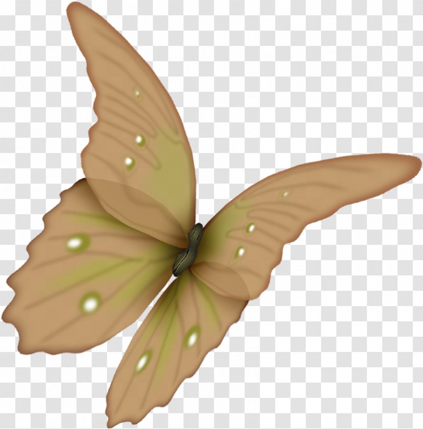 Butterfly Flower Paper Clip Art - Wing Transparent PNG