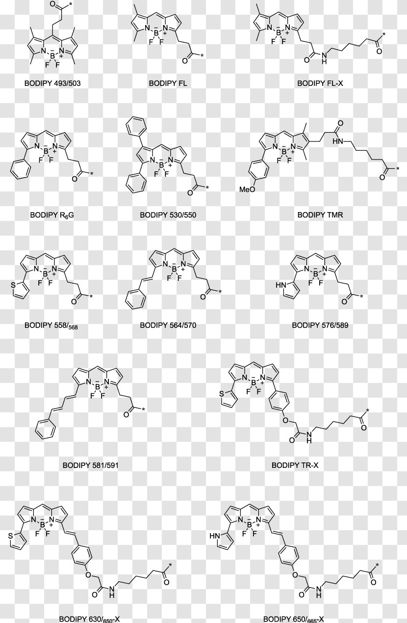 BODIPY Fluorophore Förster Resonance Energy Transfer Fluorescence Boron - Dye - Organism Transparent PNG