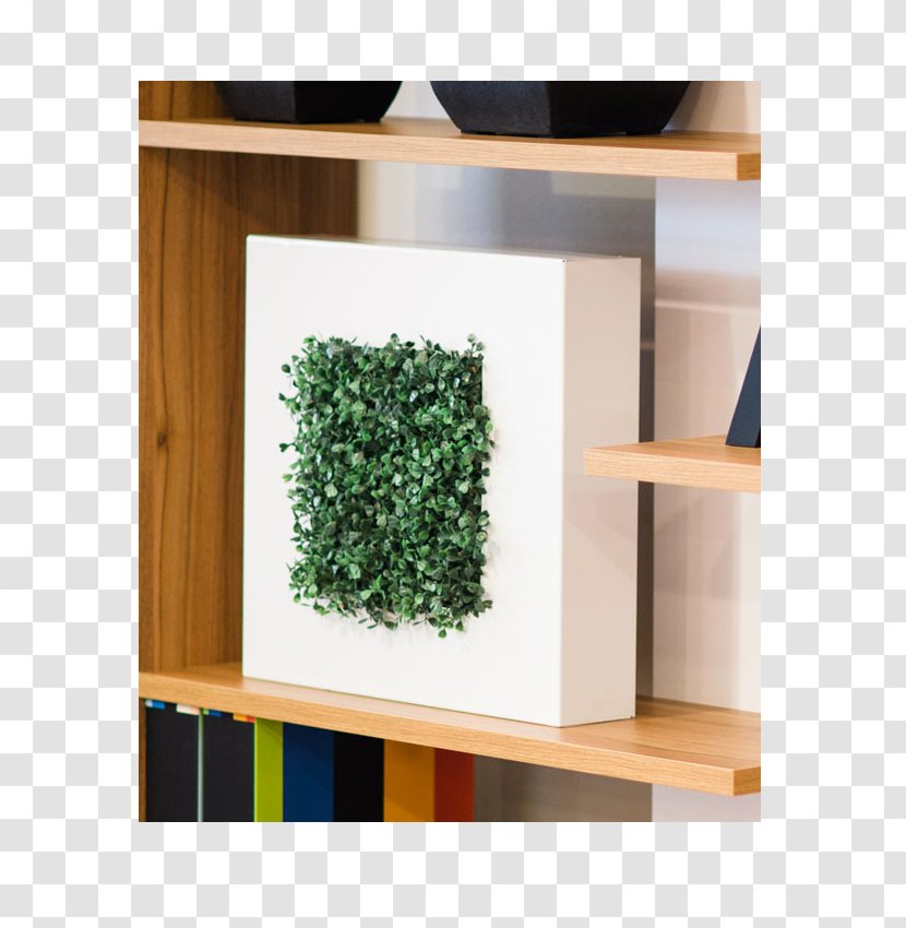 Furniture Shelf Office Metallic Color Wall - Monstera Transparent PNG