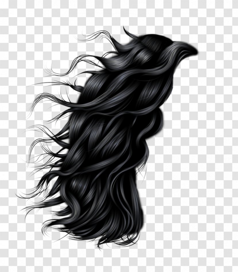 Hairstyle Photography Clip Art - Black Hair Transparent PNG