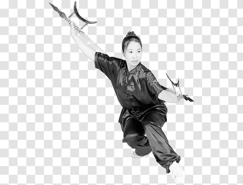 Baguazhang Weapon - Black And White Transparent PNG