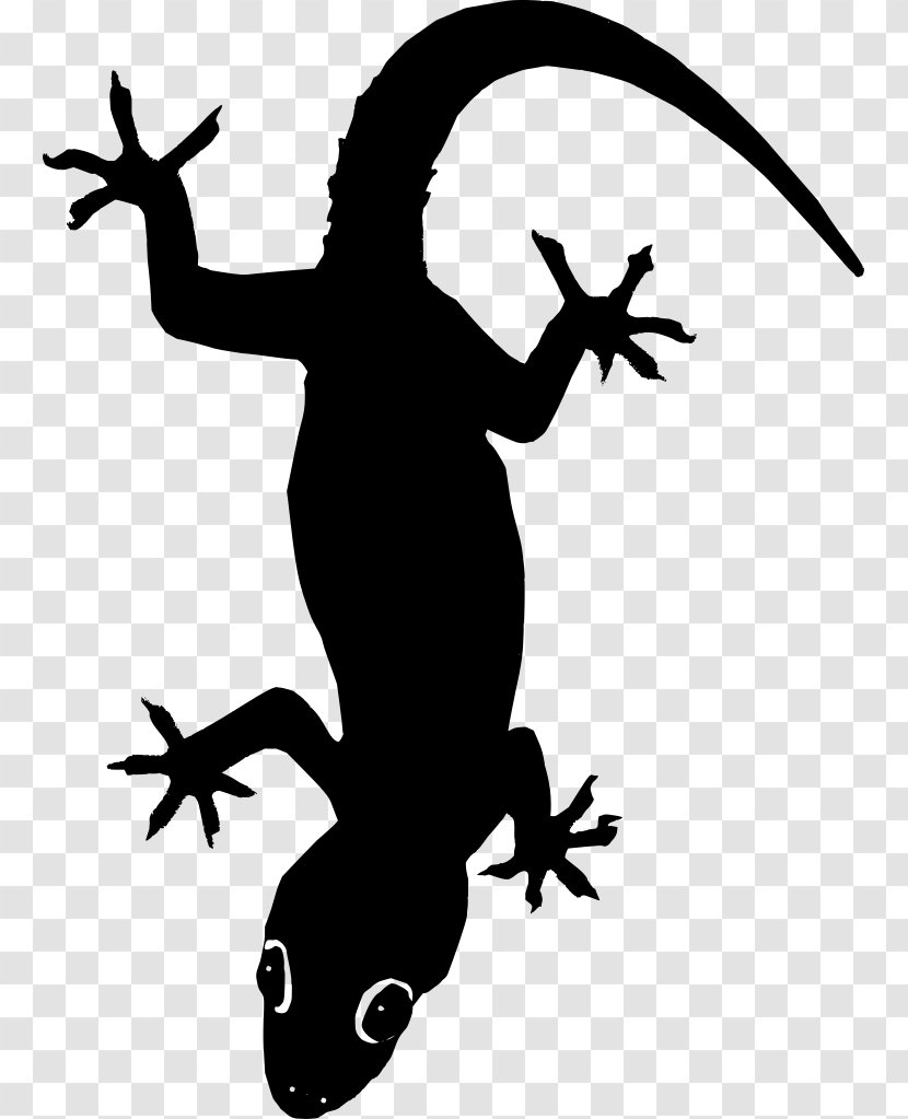 Lizard Clip Art - Artwork - Graphics Transparent PNG