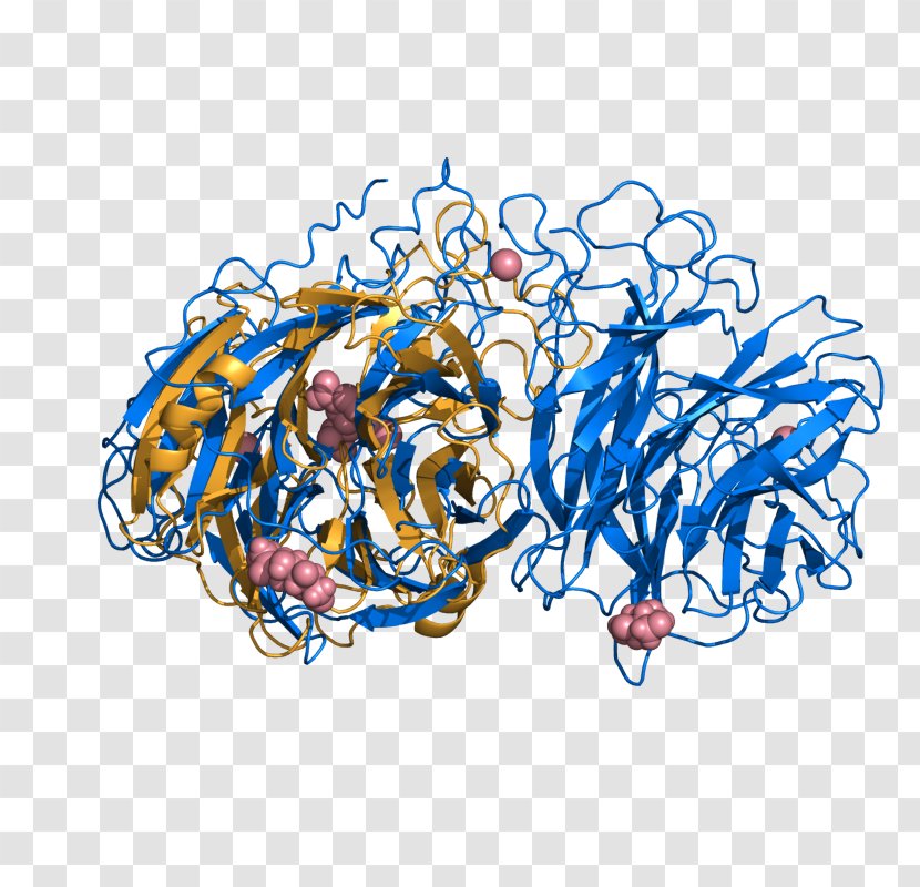 Clip Art Illustration PyMOL Source Code Open-source Software - Home Page - Organism Transparent PNG