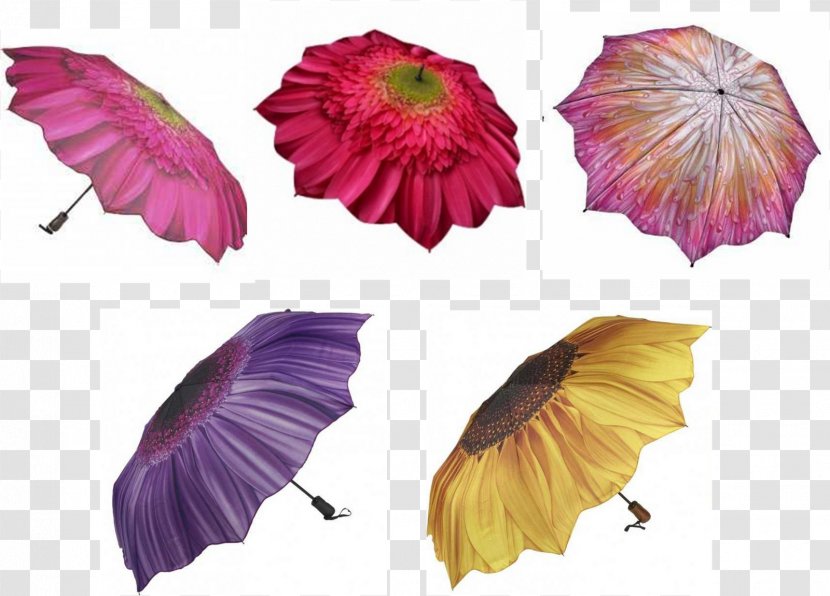Petal Umbrella Amazon.com Purple Flowering Plant - Bright Side Transparent PNG