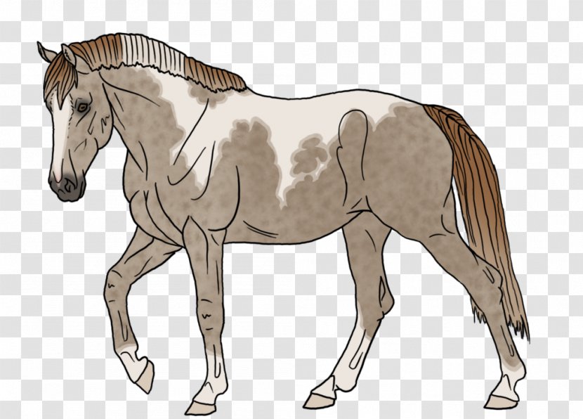 Mustang Foal Mare Mane Stallion - Mammal Transparent PNG
