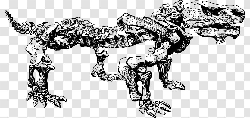 Paleontology Clip Art - Dinosaur Bones Transparent PNG