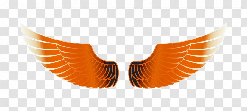 Angel Wing - Orange Wings Free Transparent PNG