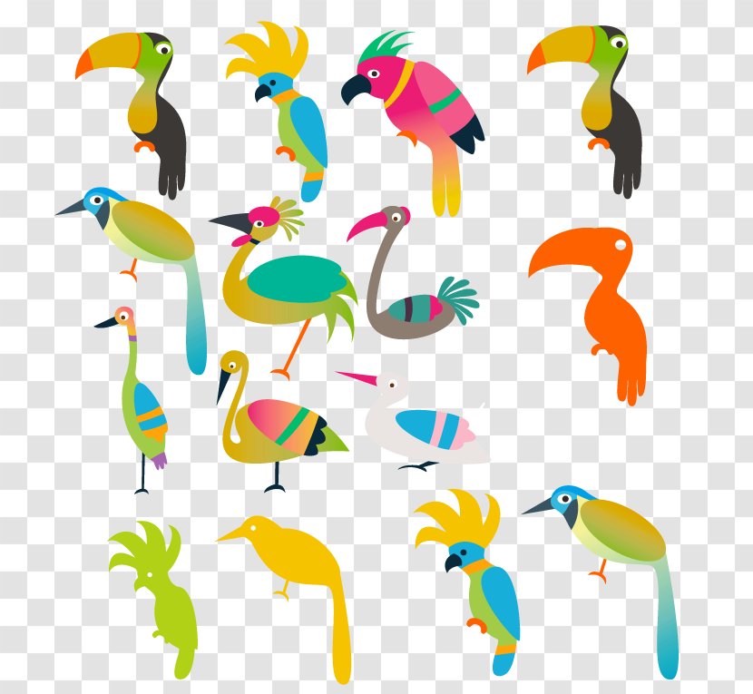 Bird Parrot Budgerigar Illustration - Cartoon - Variety Of Birds Vector Transparent PNG