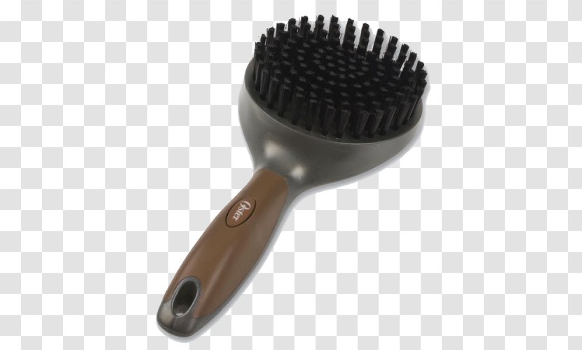 Brush Bristle Dog Cat Sunbeam Products Transparent PNG