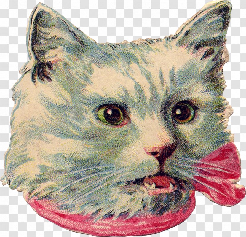 Destroy Me Cat Wymarzony Czas Bokmärke - Whiskers Transparent PNG