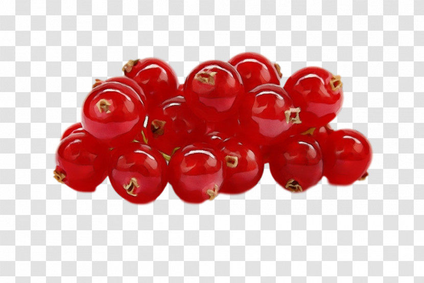 Berry Red Fruit Currant Plant Transparent PNG
