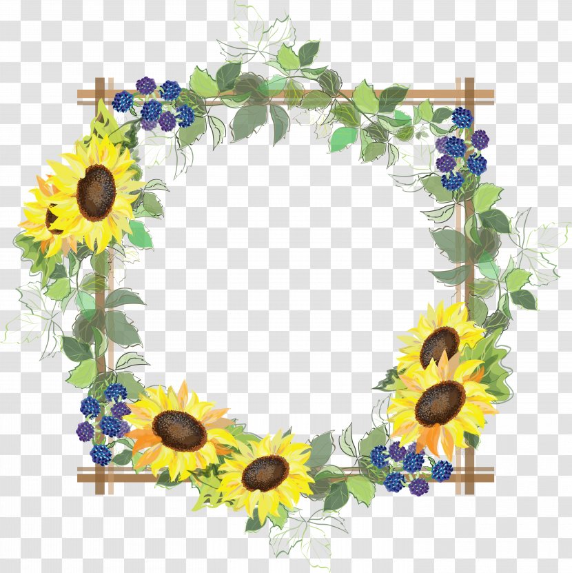 Flower - Flora - Common Sunflower Transparent PNG