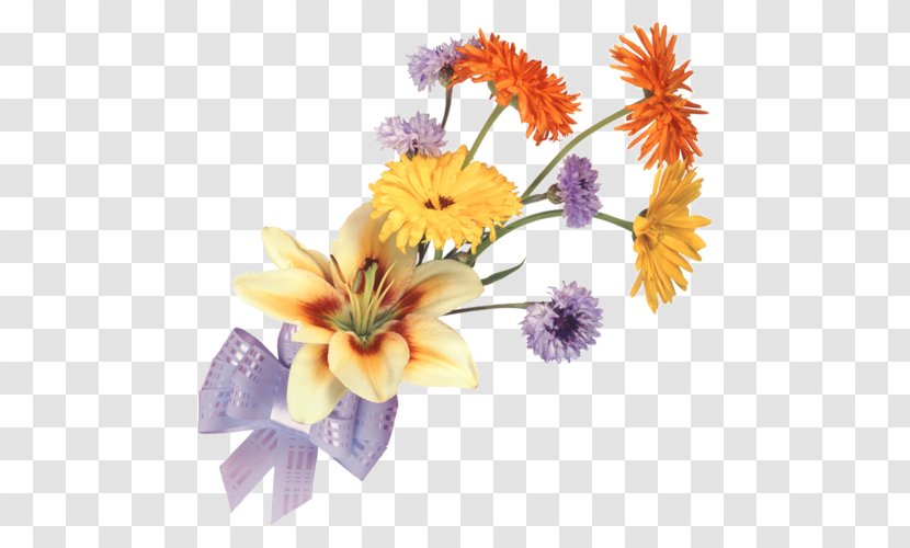 Cut Flowers Information Clip Art - Photography - Flower Transparent PNG