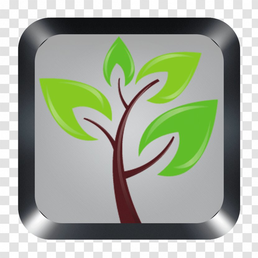 Clip Art - Efficient Energy Use - Leaf Transparent PNG