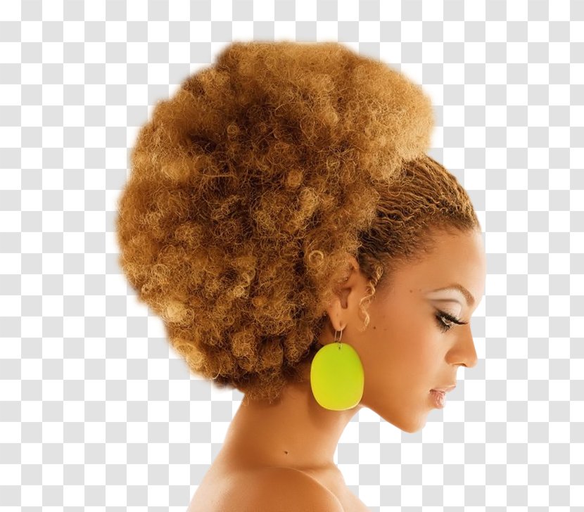Beyoncé Afro-textured Hair Frizz - Flower - Beyonce Transparent PNG