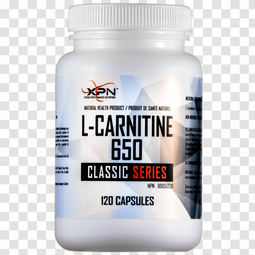 Levocarnitine Dietary Supplement Garcinia Cambogia Vitamin Detoxification - Service - Gym Equipments Transparent PNG
