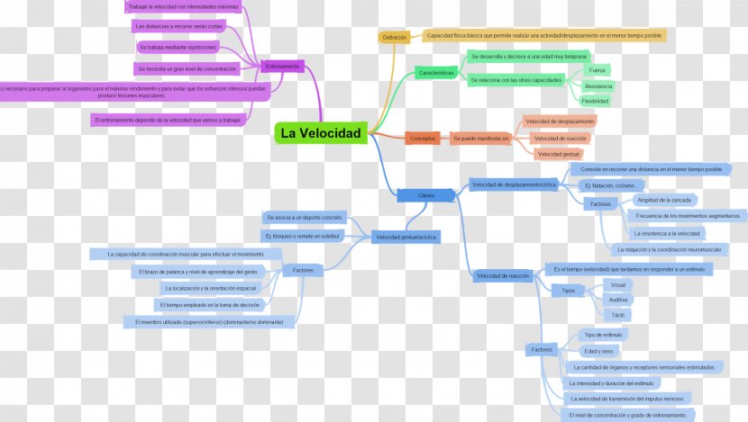 Velocity Concept Map Velocidad Mind - Physical Education Transparent PNG