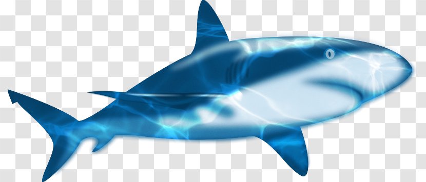 Shark Animation - Blue Sea Material Free To Pull Transparent PNG