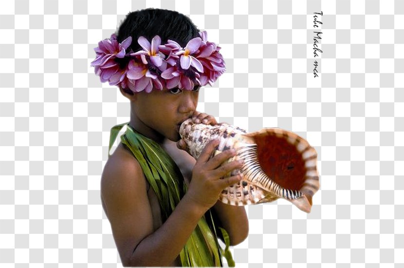 Bora Tahiti Mo'orea Huahine Raiatea - Hotel - Enfant Transparent PNG