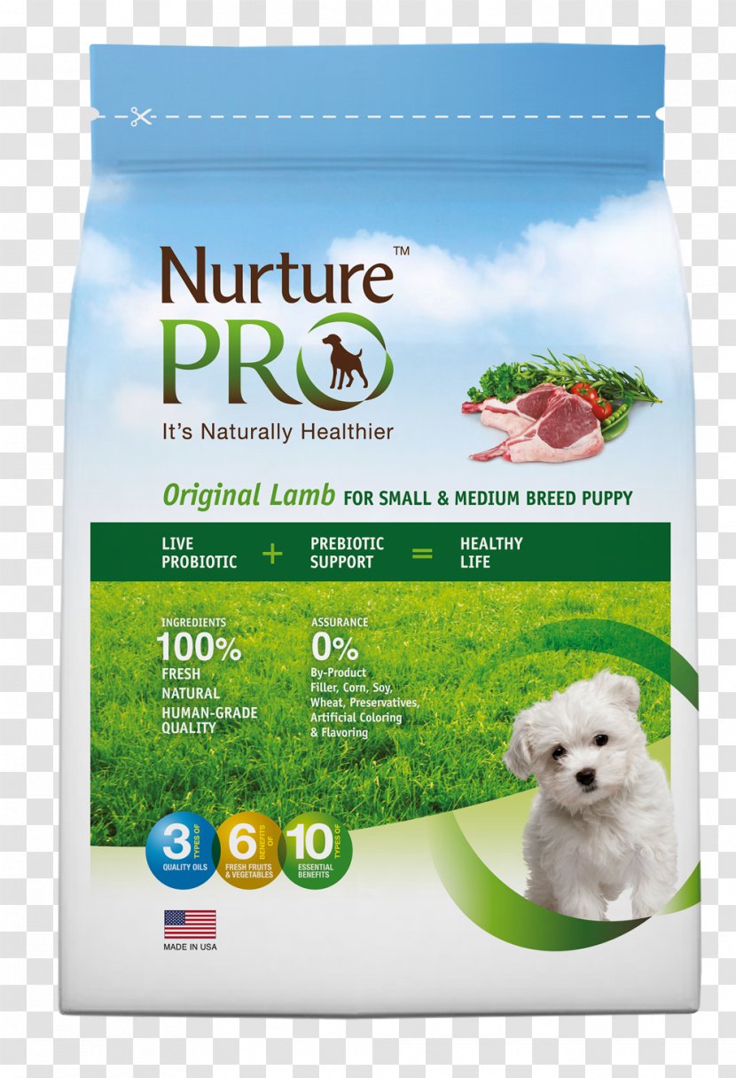 Dog Food Puppy Cat - Breed Transparent PNG