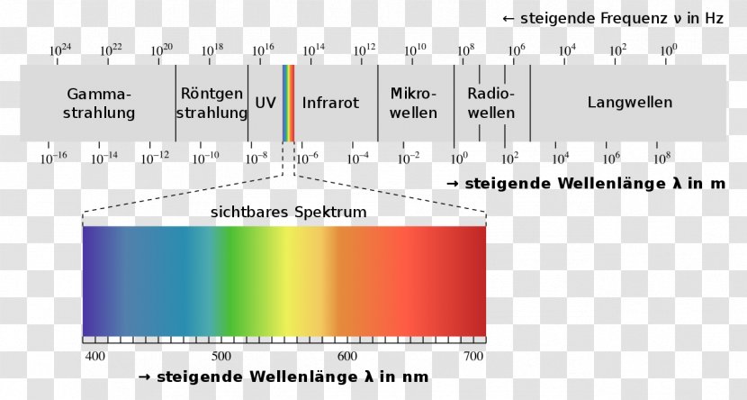 Light Electromagnetic Spectrum Radiation Visible - Xray Transparent PNG