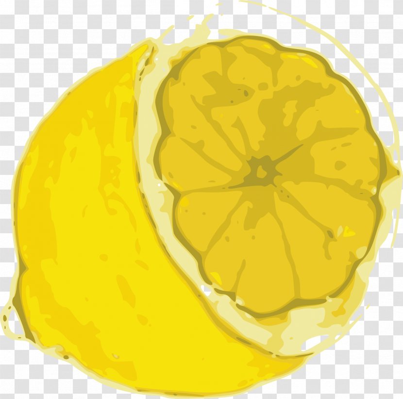 Lemon Line Art Citron Clip - Vegetarian Food - One Slice Transparent PNG