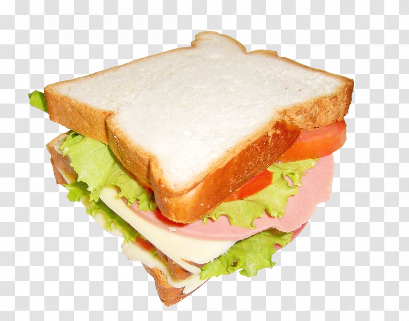 Butterbrot Panini Bologna Sandwich Hot Dog Transparent PNG