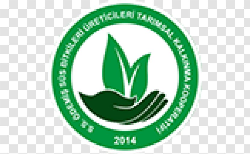 Ecolabel Environmental Certification Health Care Springville Pediatrics Child - Service - Plant Transparent PNG