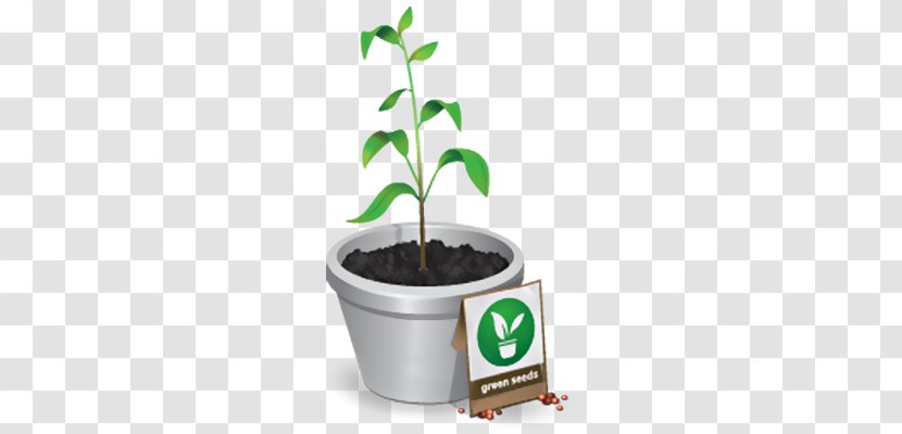 Tree Plant - Flowerpot Transparent PNG