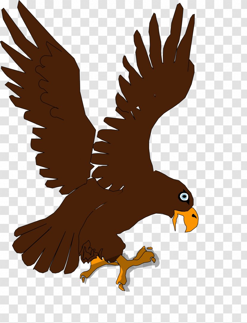 Bald Eagle Bird Of Prey Child - Cartoon Transparent PNG