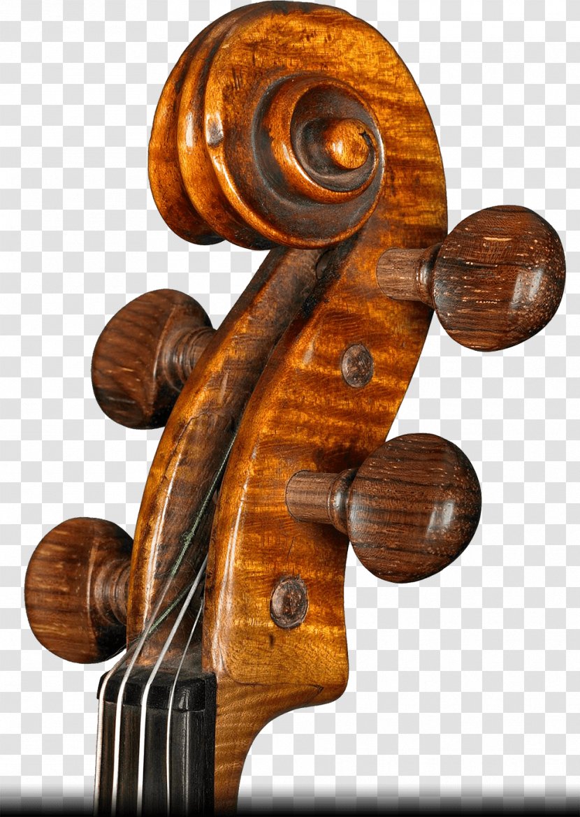 Violone Violin Cello Alessandro Ciciliati Viola Transparent PNG