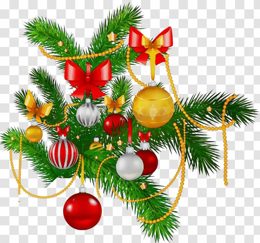 Christmas Ornament - Paint - Eve Branch Transparent PNG