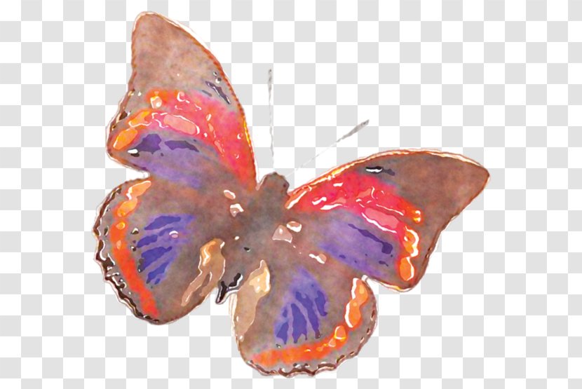 Butterfly Nymphalidae Watercolor Painting - World Wide Web Transparent PNG