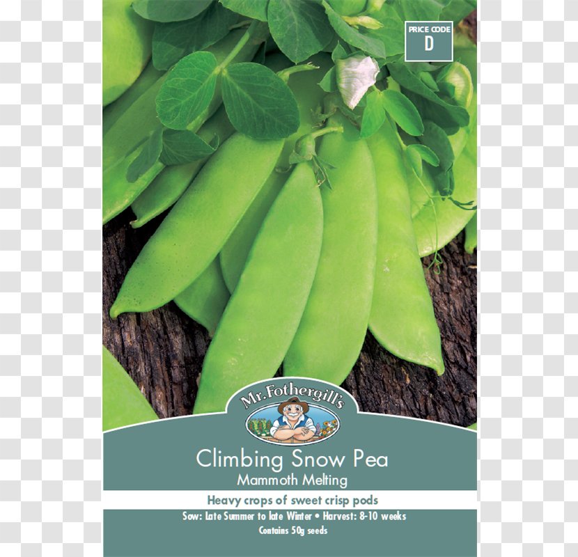 Snow Pea Mammoth Lakes Seed Vegetable Transparent PNG