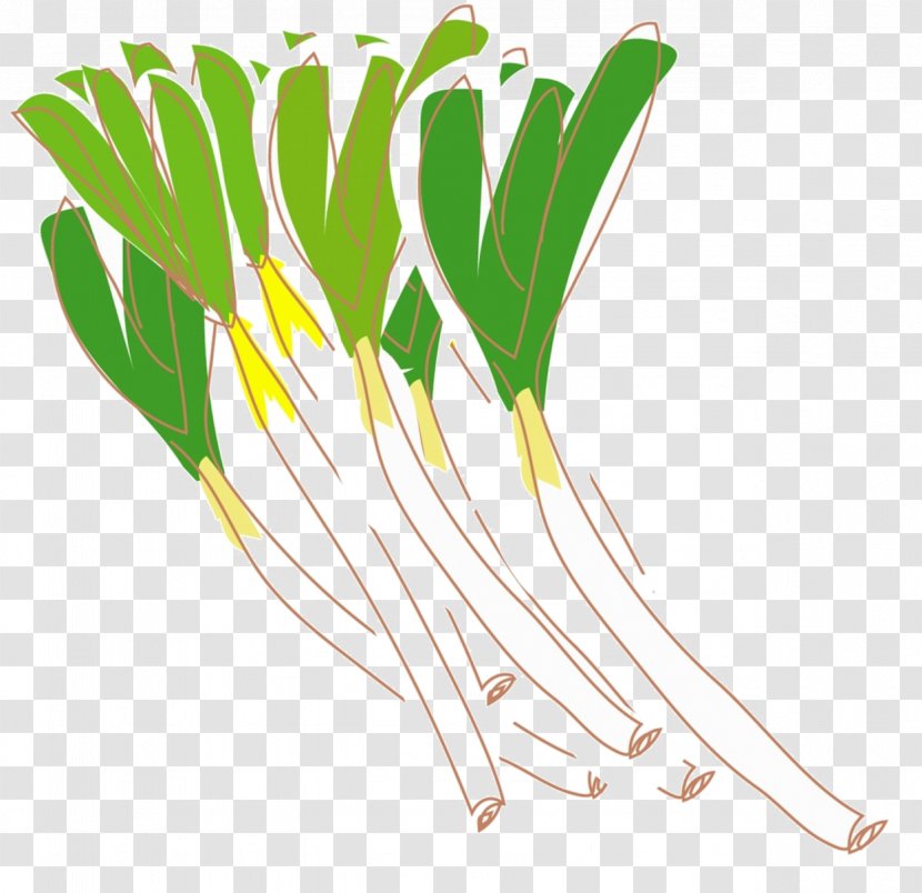Shallot Cong You Bing Allium Fistulosum Vegetable - Onion - Sauce Transparent PNG
