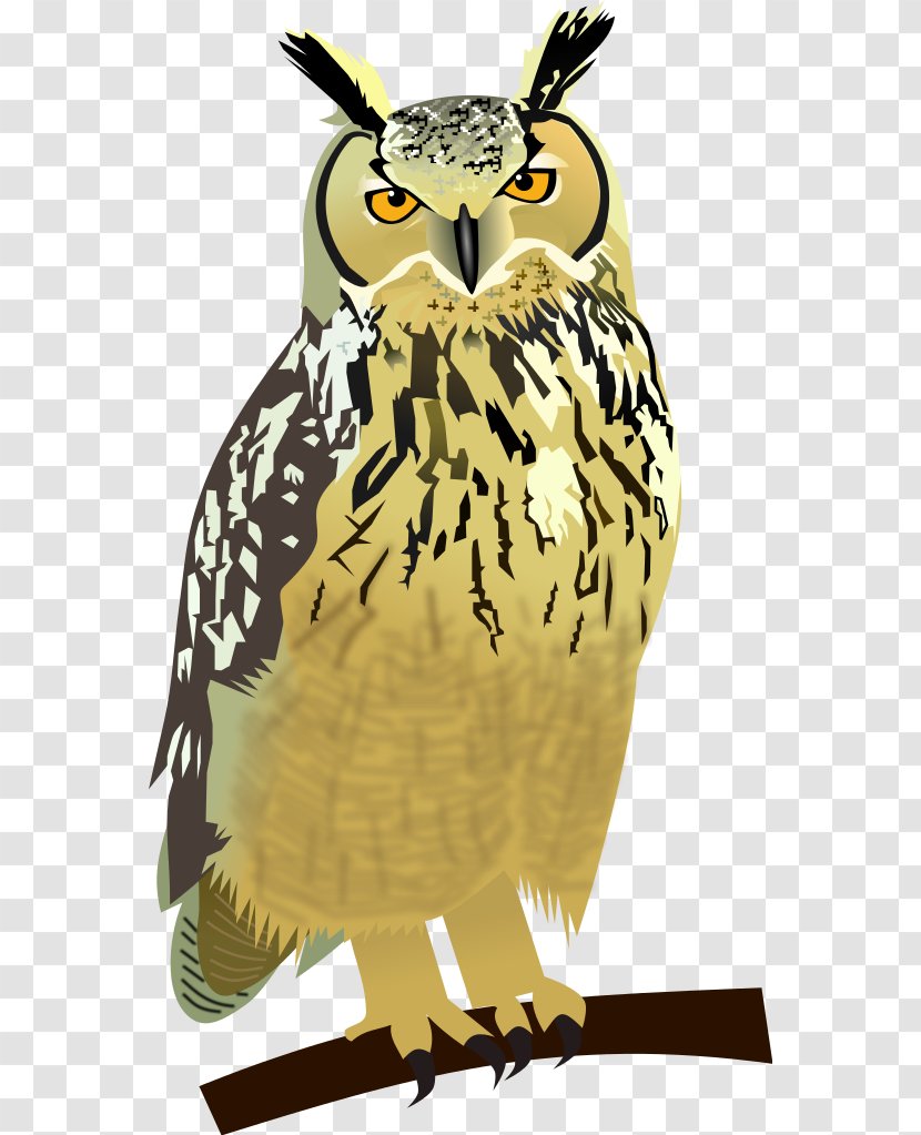 Great Horned Owl Drawing - Hawk - Creative Transparent PNG