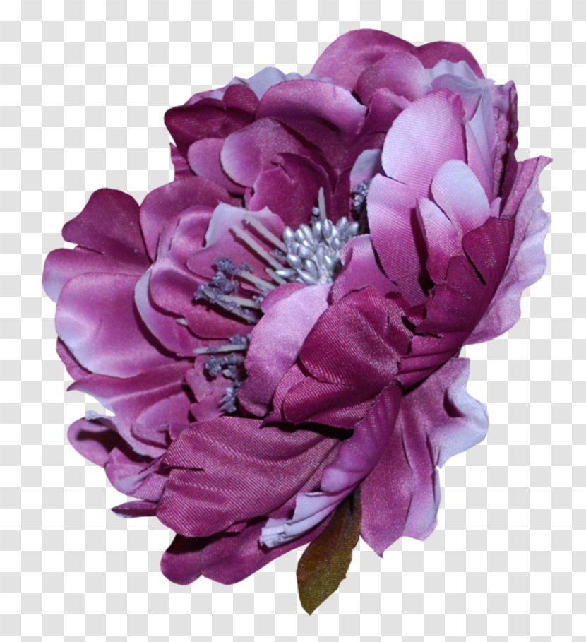 Cut Flowers Rose Purple - Peony - Fantasy Transparent PNG