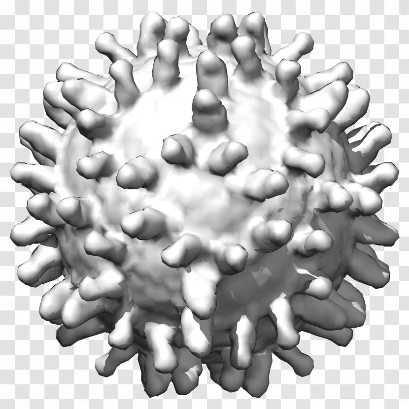 Human Papillomavirus Infection West Nile Fever Hepatitis C Virus Disease - Cervical Cancer Transparent PNG