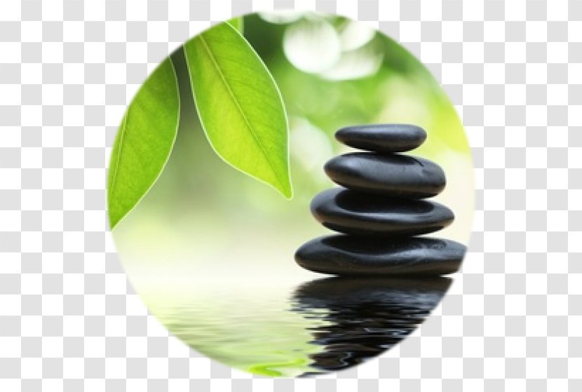 Zen Japanese Rock Garden Meditation - Green - Relax Transparent PNG