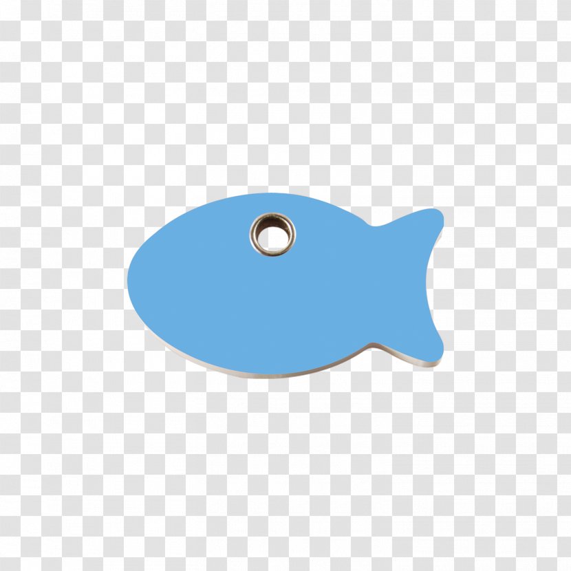 Fish Marine Mammal Transparent PNG