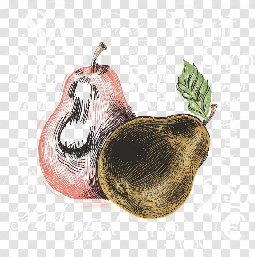 Watercolor Painting Pear - Paint - Vector Transparent PNG
