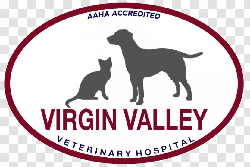Virgin Valley Veterinary Hospital Dog Breed High School Veterinarian - Organism - Fever In Dogs Transparent PNG